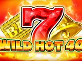 Wild Hot 40 screenshot